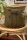 Bio-Kissenbezug Schierling, olive 40*40