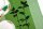 Handgewebtes Geschirrtuch Brennnesseln leaf green