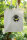 Fashion-Bag Erdhummel natur