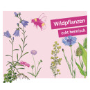 Wildblüten für Garten und Balkon SÜD