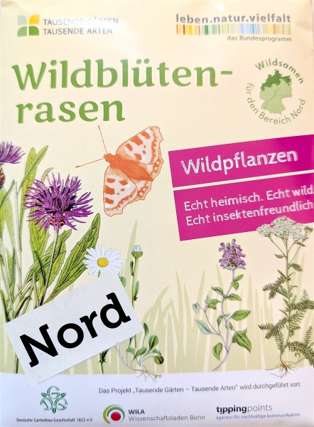 Wildblütenrasen NORD