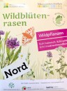 Wildblütenrasen NORD