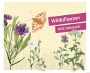 Wildblütenrasen NORD