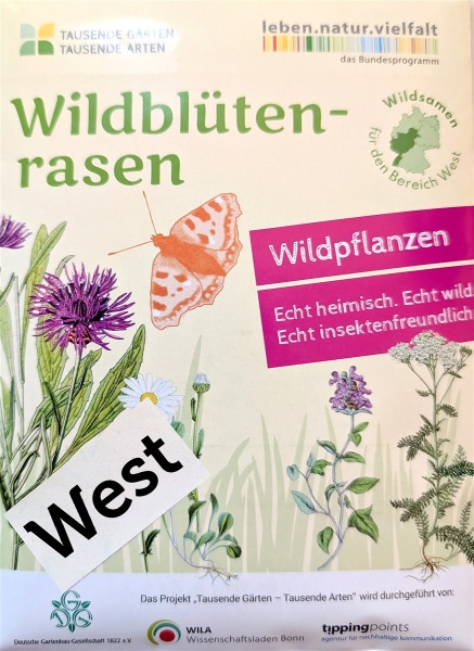 Wildblütenrasen WEST