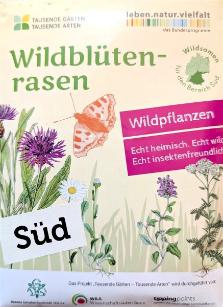 Wildblütenrasen SÜD